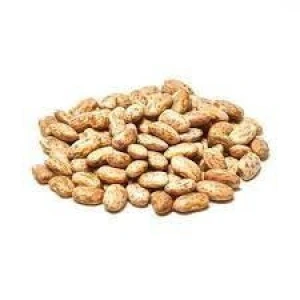 Bulk Pinto Beans for Sale – Direct from Farm to Port