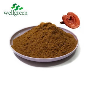 100% Natural Pure Bulk AHCC Powder 10%-50% Shiitake Mushroom Extract for Enhancing Immunity