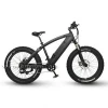 1000W Big Power Fat Tire Electric Mountain Bike/Snow e bike/Electric Bicycle