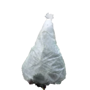 100%pp spun-bonded tree frost protection bag pp nonwoven fabric plant cover for tree