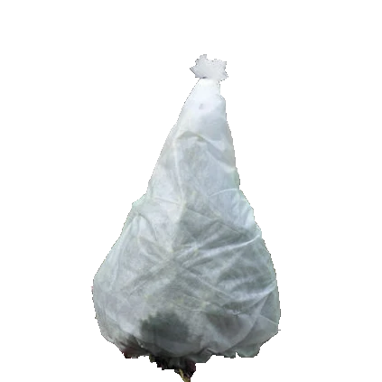 100%pp spun-bonded tree frost protection bag pp nonwoven fabric plant cover for tree
