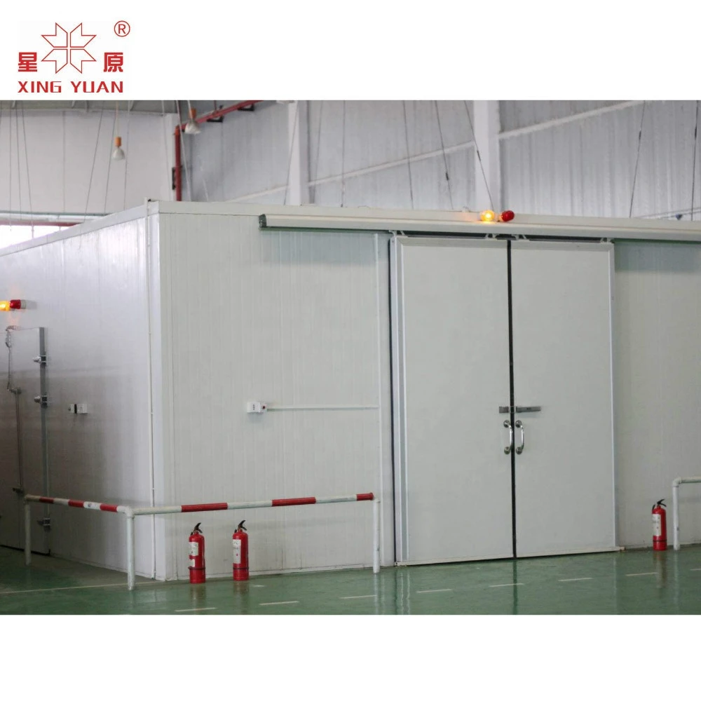100T fruit and vegetable cold storage project