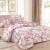 Import 10pcs printed comforter set from China