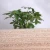 Import 1220*2440mm waterproof wheat fiber Chipboard For Office Dest Top from China