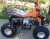 Import 125cc Adult Quad ATV Cheap for Sale from China