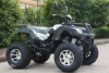 200CC quad bike 4 wheeler ATV 4x4 Driving for adults