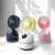Import 200ML Humidifier Summer Cute Design Portable Mini Usb Spray Fan With Water For Misting from China