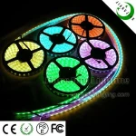 2011 china new high quality 5050 smd rgbw led strip with 12v dmx copper,black, or whiter PCB,60leds/m,300 leds