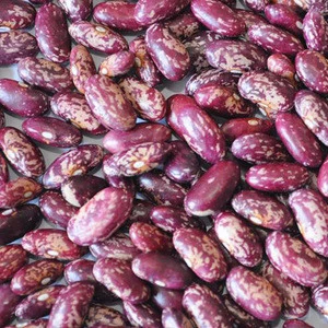 2017 Crop Light Speckled Kidney Beans /Sugar Bean