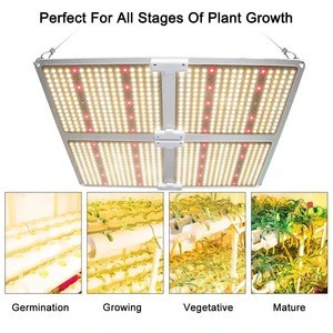 2020 hot sale 440W full spectrum spider quantum plants lamp bar board waterproof growth bulb led grow light