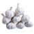 Import 2020 New crop fresh white garlic vegetables and fresh white garlic from Pakistan