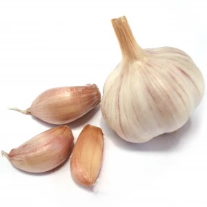 2020 New Crop Good Quality Fresh Garlic