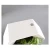 Import 2020 New Indoor Eco-friendly Self Watering Plastic Wall Mounted Decor Flower Pot With Planting Sponge from China