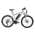 Import 2021 CHEAP PRICE electric+ bike 26 inch ebike electric mountain bike  350W 10AH 48V  bicycle electric from China from China