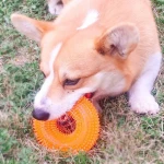 2021 Hot Sell Durable Dog Puzzle Indestructible Rubber Teeth Clean Squeaky Interactive Dog Chew Toy