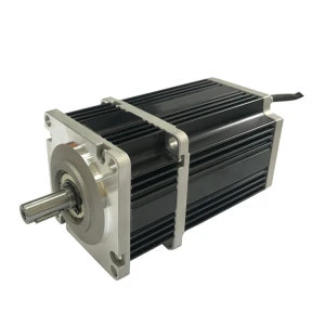 220V 55mm 4rpm synchronous  motor with gear box