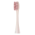 Import 2Pcs Wholesale New Product Electric Clean Soft Adult Toothbrush Head Electric Toothbrush Heads from China