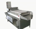 304 stainless steel boiled egg peeling machine