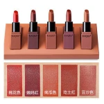 5pcs matte lip kit professional waterproof nude lipstick set moisturizer long lasting  red lipsticks nc0907