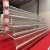 Import A type battery cage with feeding equipment hot broiler chicken farm from China