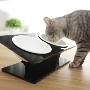Acrylic Stand with Cat Food Bowl-15 Degree Tilted Platform Pet Feeder,Height Pedestal Design Rack with Two Bowls