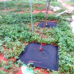 agricultural 60g-170g horticultural products/ black plastic for weed control for blueberry farm