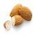 Import Almond Nuts ,Almond Kernel from South Africa