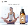 Aromatherapy Level Spa Massage Natural Organic Ginger Essential Oil Manufacturer