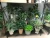 Import Artificial Faux Potted Plant Faux Greenery Bonsai Herbs in Pot Evergreen Home Kitchen Tabletop Forcer Office from China