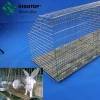 automatic commercial rabbit farm cage system in kenya farm