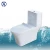 Import Bathroom Toilets With One Piece Siphon Flush Structure from China