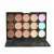 Import Best oem makeup cosmetics waterproof 15 colors face concealer 15 color concealer palette for oily skin from China