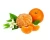 Import BEST PRICE FOR WHOLESALE EXPORT 100% FRESH NATURAL SWEET MANDARIN ORANGEFROM VIETNAM TYPE 2 from China