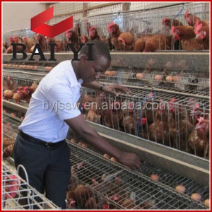 Best Sale Chicken Farming Material For Egg Layer Cages In South Africa Supplier