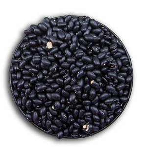 Black kidney beans Spain product For Export.