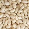 Blanched Peanuts (Groundnut) Supplier