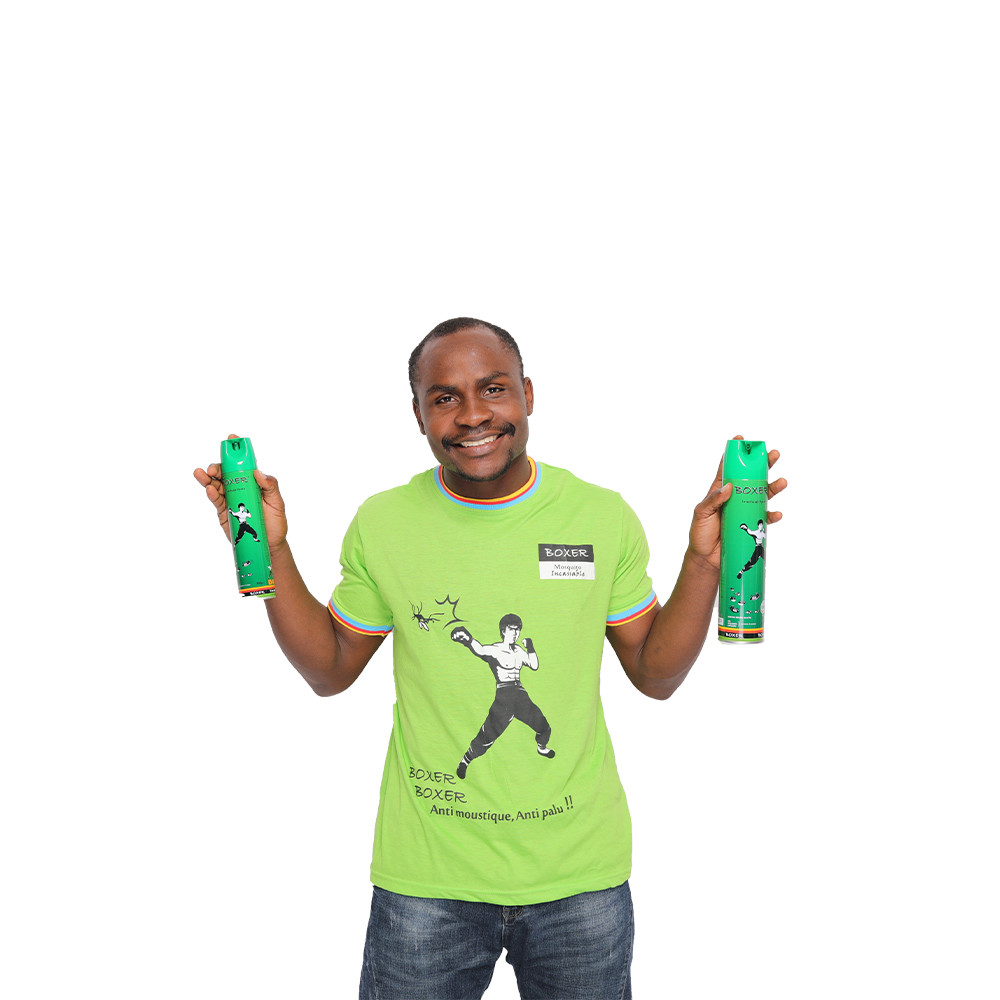 Buy Boxer Insecticide Anti Mosquito Spray Repellent Pest Control Spray