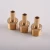 Import Brass fitting air hose thread connector brass hose barb fittings from China