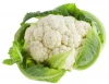 Bulk  Fresh Green leaf Vegetables  Frozen Cauliflower Healthy cauliflower chips