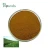 Buy high quality polyphenols Green Tea Extract 1kg bulk stock