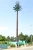 Import Camouflaged tower-Palm Tree Tower-telecommunication from China