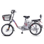 Cheap Classic 20 Inch Spoke Wheel Electric Bicycle