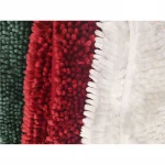Chenille rug bath living room dining room mat Anti-slip Water-proof Bathroom Door Chenille Bath Mat
