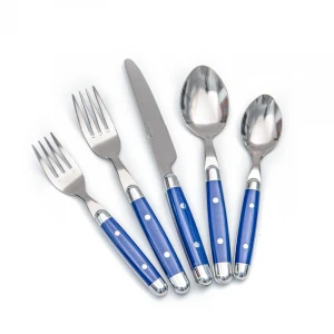 China full set of fork spoon knife with blue plastic handle machine polish stainless steel  restaurant cutlery set