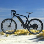 China manfacurer electric bicycle mtb pedal assisted 750w electric bike