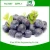 Import China manufacturer High Quality Blueberry powder for energy drink / Wild blueberry extract With Good Service from China