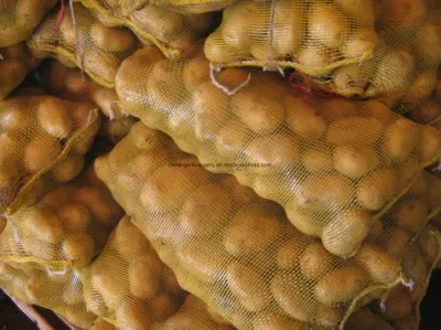 China New Harvest Export Holland Fresh Potato Seed/Frozen Potato