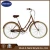 Import City bike 3-Dutch 700C SA 3 SPEED MAN BIKE BICYCLE CITY FOR SALE VINTAGE BICYCLE from China