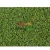 Import Classis infinitygrass GENUS 15 mm  Green Artificial Grass Turf Landscaping Lawn Mat Home Garden Artificial Carpet Rug Outdoor from Belgium