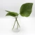 Import Clear tabletop PET plastic flower vase for home decor from China